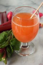 Rhubarb_Lemonade_Ingredients.jpg