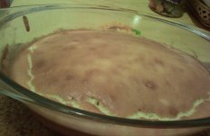 Clafoutis_z_jab_kami_2.jpg