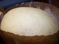 pandoro1.jpg