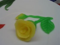 IMG_5282.JPG