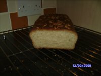 BILD0580.JPG