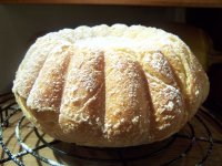 pandoro1.jpg pandoro1.jpg