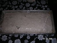 PICT0065.JPG