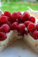 pav.jpg