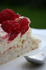 pav2.jpg