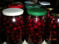 DSCN0173.JPG
