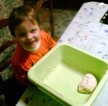 Img016.jpg