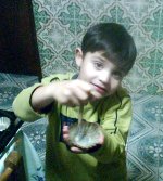 Img017.jpg