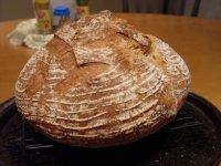 DSC01355_1.JPG DSC01355_1.JPG