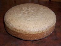 tort_1.jpg tort_1.jpg