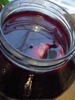 DSCN0928_maly.jpg