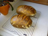 Pain_de_Campagne.jpg