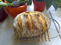 Pain_de_Campagne.jpg