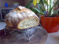 Pain_de_Campagne_2.jpg