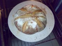 Pain_de_Campagne_08022009.jpg