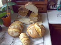 Pain_de_Campagne_20_02.jpg