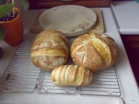 Pain_de_Campagne_21022009.jpg