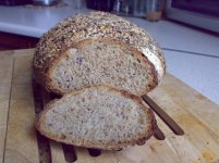 Multigrain_Sour_wg_Ayn.jpg