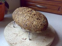 Multigrain_Sour_wg_Ayn1.jpg