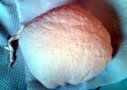 Img003.jpg