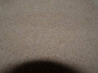 DSCF0028.JPG
