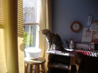DSCF7119.JPG