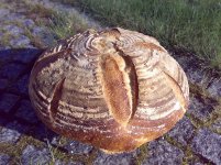 Pain_de_Campagne_16_08_2009.jpg