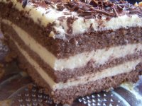 tort_mm_004.jpg tort_mm_004.jpg