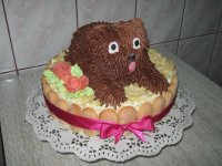 IMG_0425.jpg