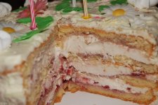 tort.jpg tort.jpg