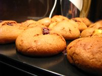 IMG_0462_mini.jpg