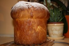 Pandoro.jpg