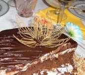 tort.jpg tort.jpg