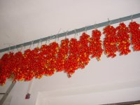Pomodori_secchi.jpg