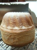 pandoro2.jpg