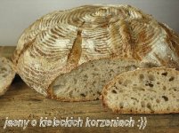 jasny_o_kiel_korze.jpg