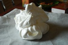 Pavlova1.JPG