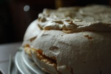 Pavlova3.JPG