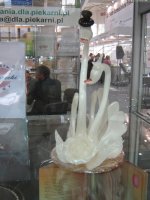 IMG_0144.JPG