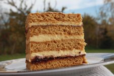 Sernik_w_cie_cie_miodowym_1.jpg Sernik_w_cie_cie_miodowym_1.jpg