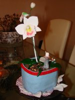 2011_01_21__00002.jpg