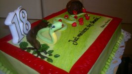 2011_02_04__00001.jpg