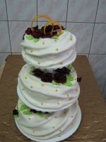 IMG_0492.JPG IMG_0492.JPG