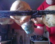 Snapshot_20110322_2.jpg