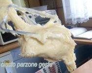 parzone_g_ste.JPG
