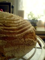 bialy_z_san_franc.JPG