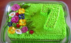 torty_anusi_029.jpg