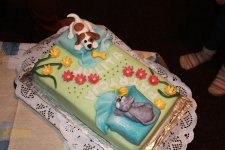 IMG_1037.JPG