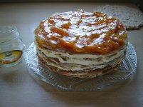 tort_Esterhazy.JPG