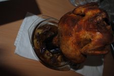 DSC_0233.JPG